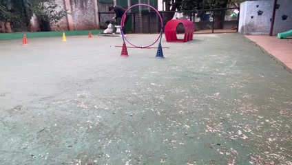 Vídeo thumbnail