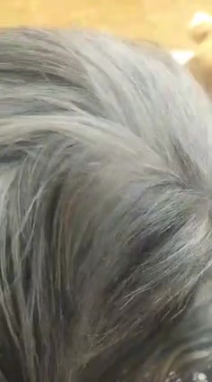 Vídeo thumbnail