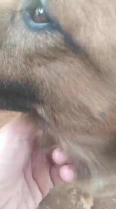 Vídeo thumbnail