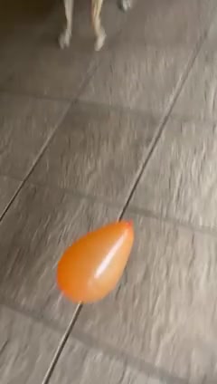 Vídeo thumbnail