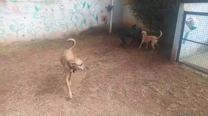 Vídeo thumbnail