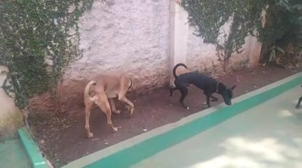 Vídeo thumbnail
