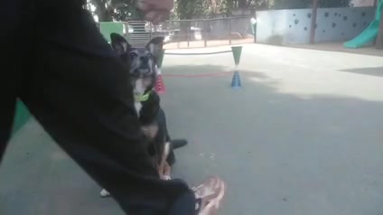 Vídeo thumbnail