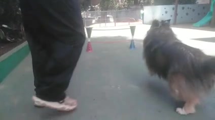 Vídeo thumbnail