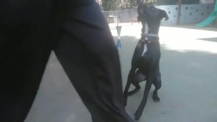 Vídeo thumbnail