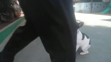 Vídeo thumbnail