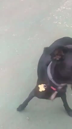 Vídeo thumbnail