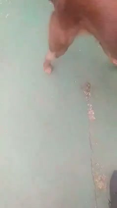 Vídeo thumbnail