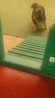 Vídeo thumbnail