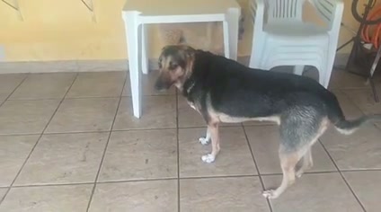 Vídeo thumbnail