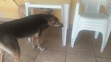Vídeo thumbnail