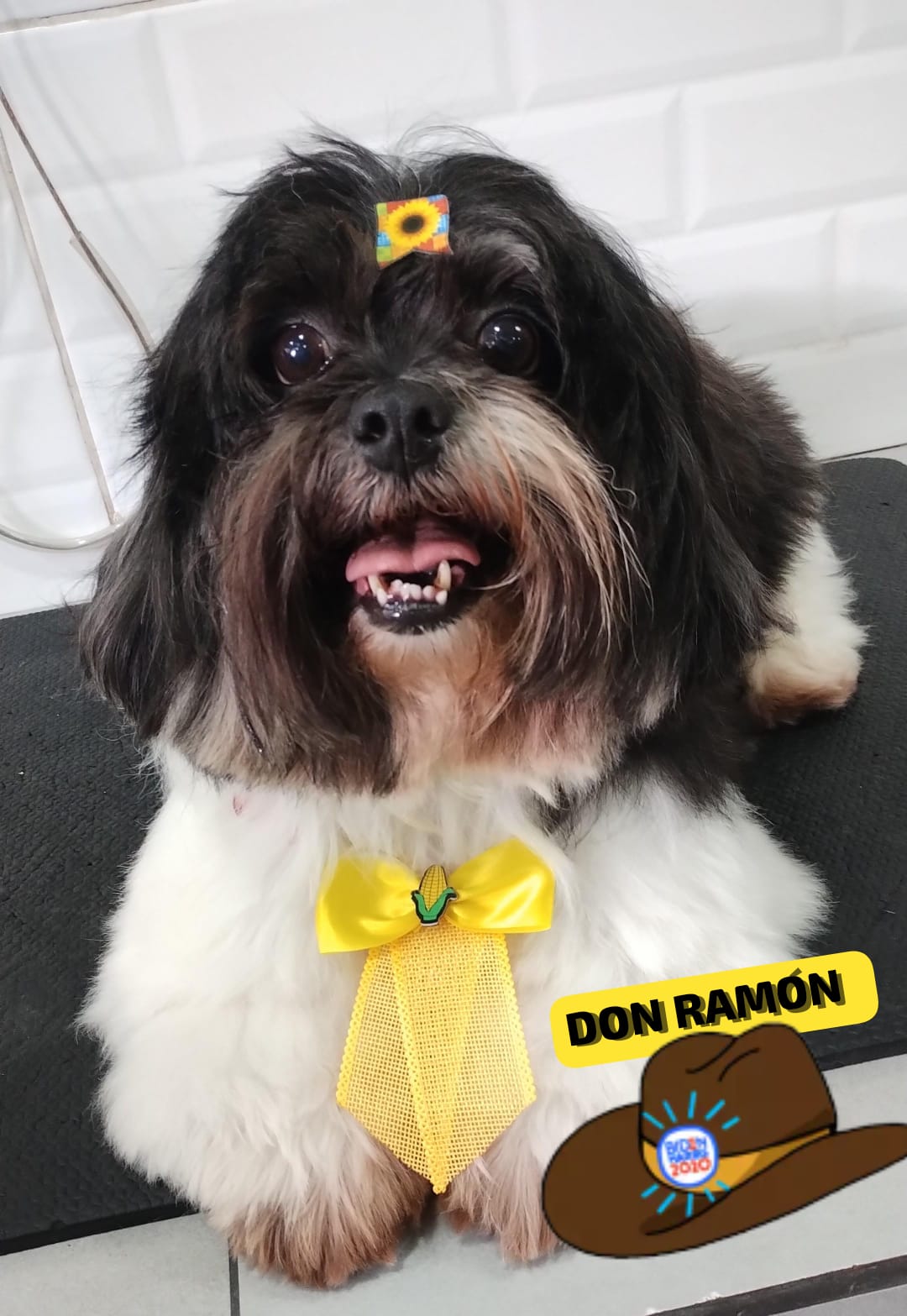 Don Ramon
