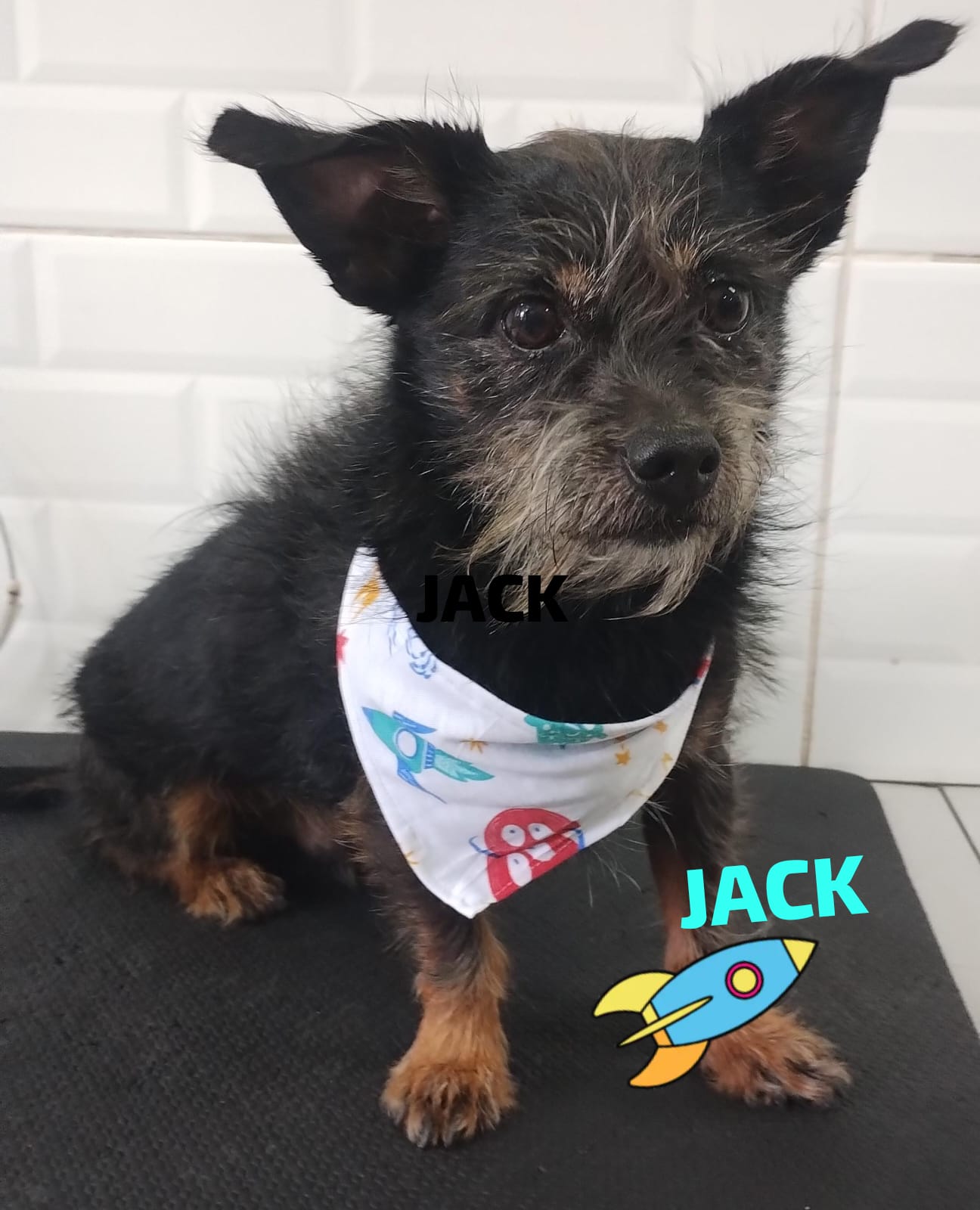 Jack Nelson