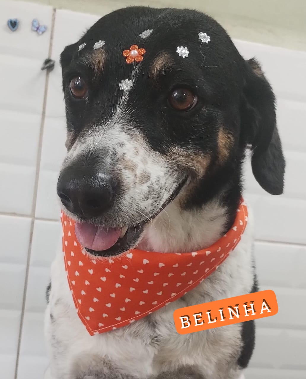Belinha