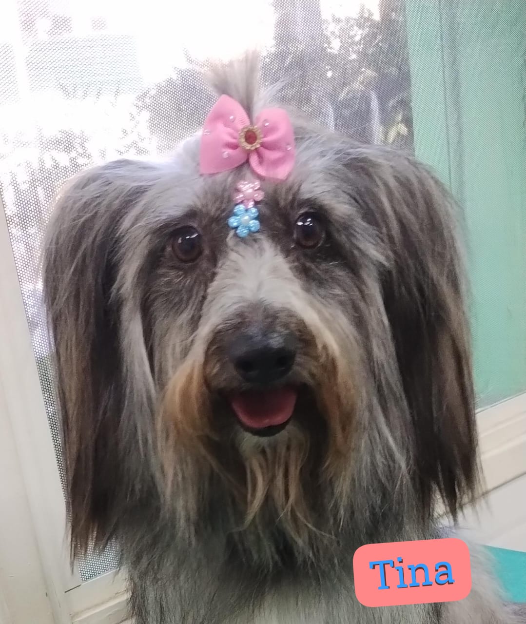 Tina
