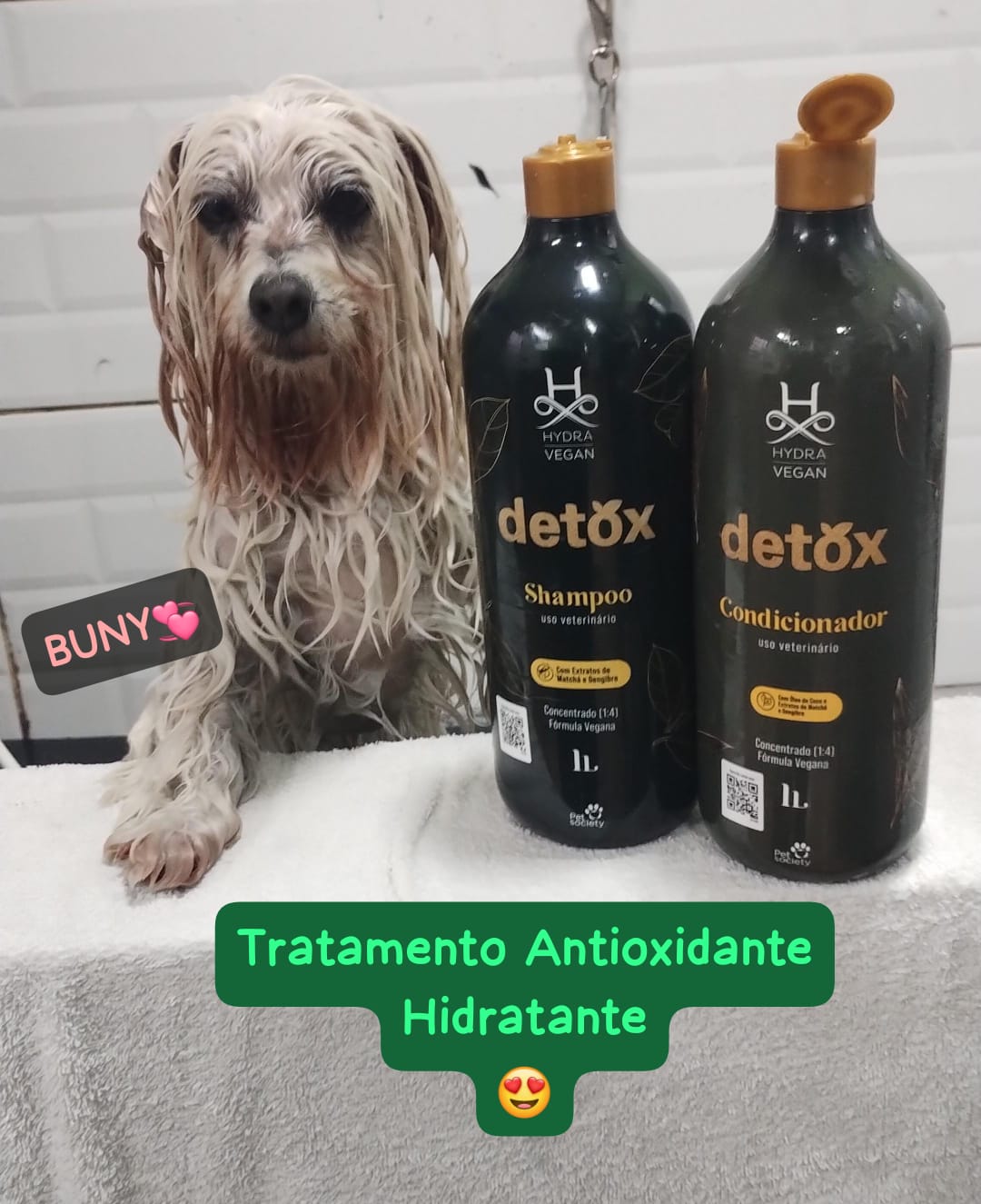 sexta-feira, 08/08/2025 21:35