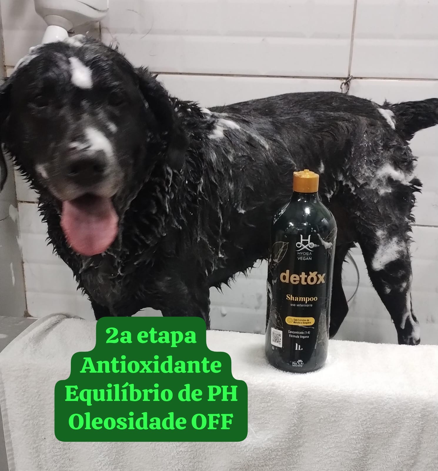 quinta-feira, 14/08/2025 19:45