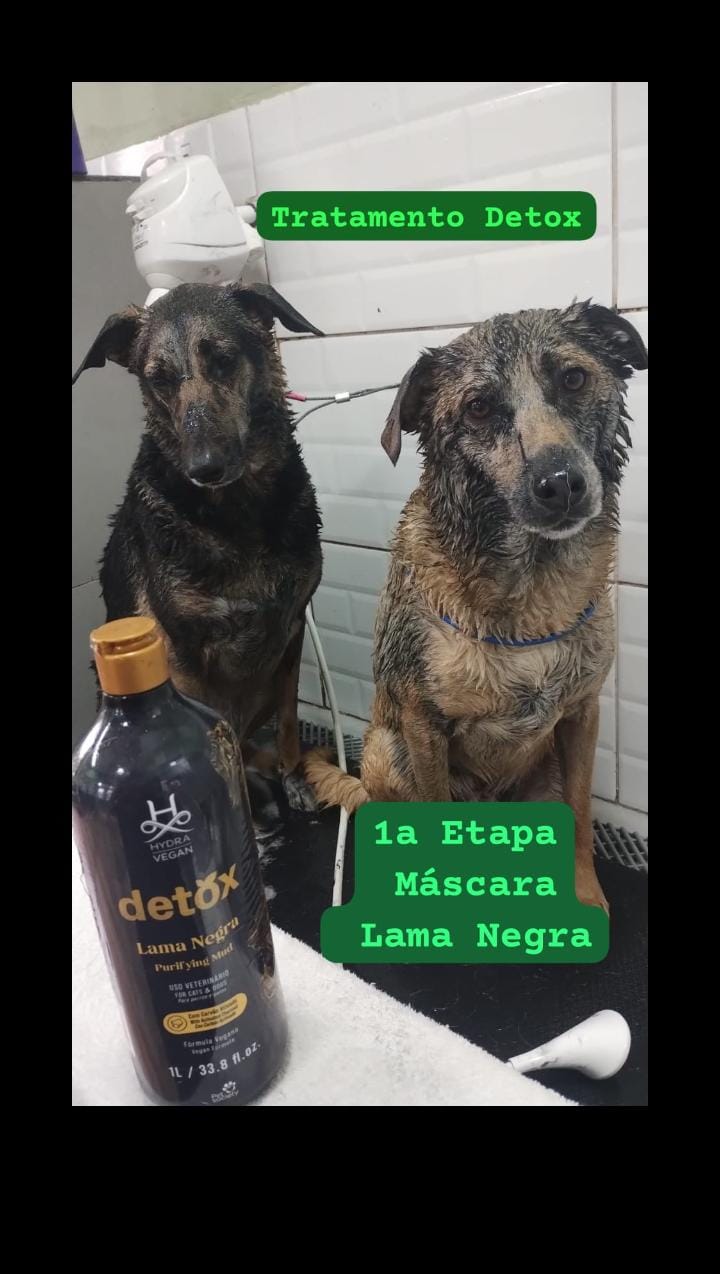 sexta-feira, 15/08/2025 20:45