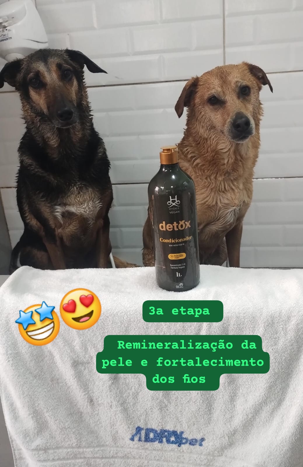 sexta-feira, 15/08/2025 20:45
