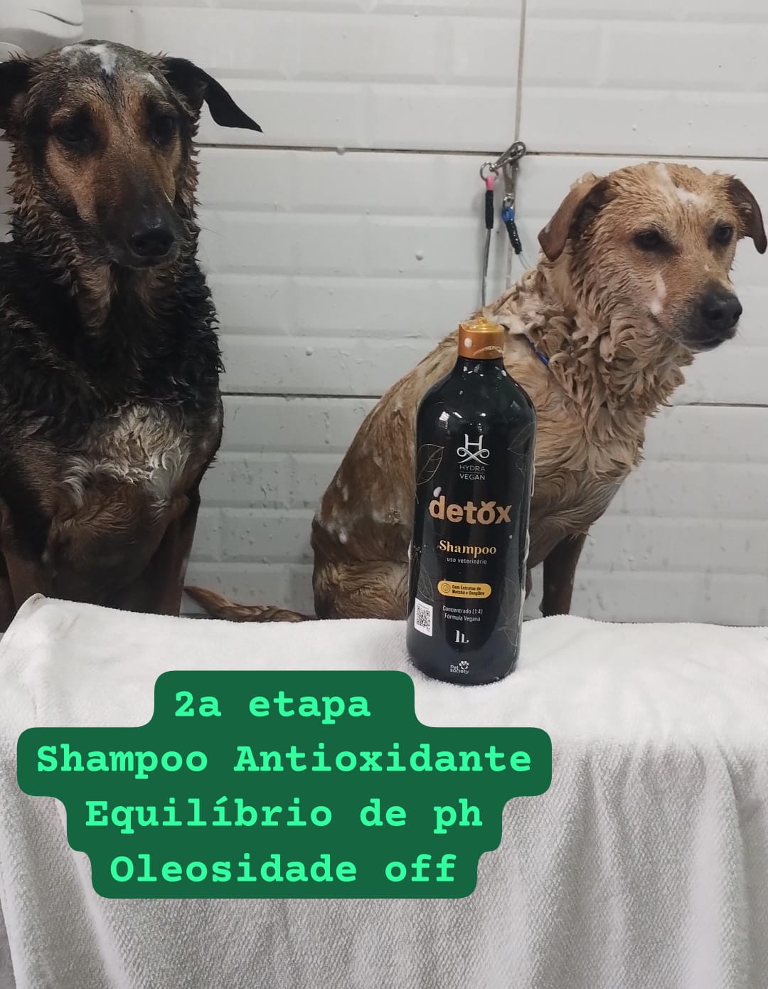sexta-feira, 15/08/2025 20:45