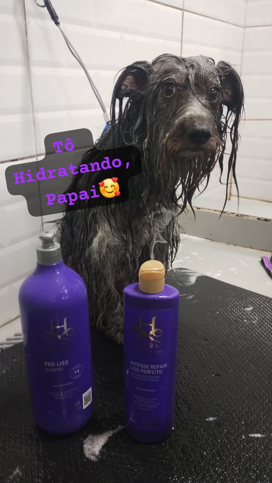 sexta-feira, 15/08/2025 20:45