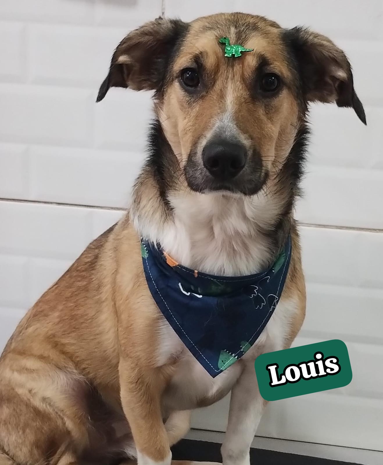 Louis