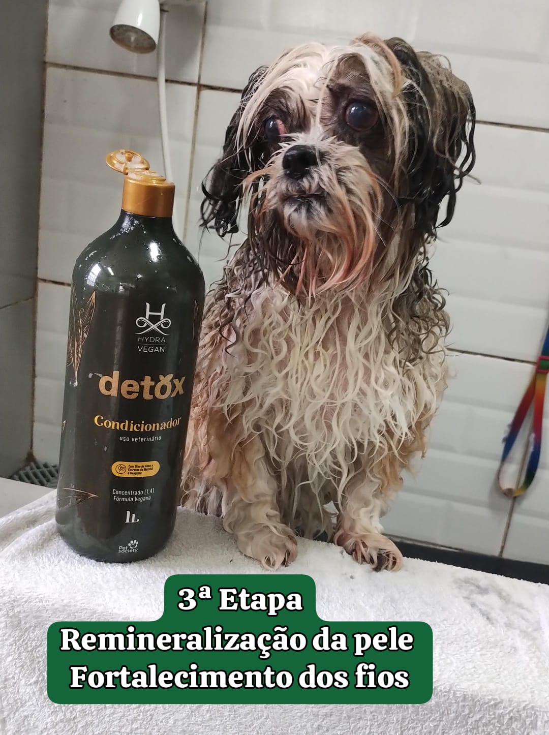 segunda-feira, 25/08/2025 14:39