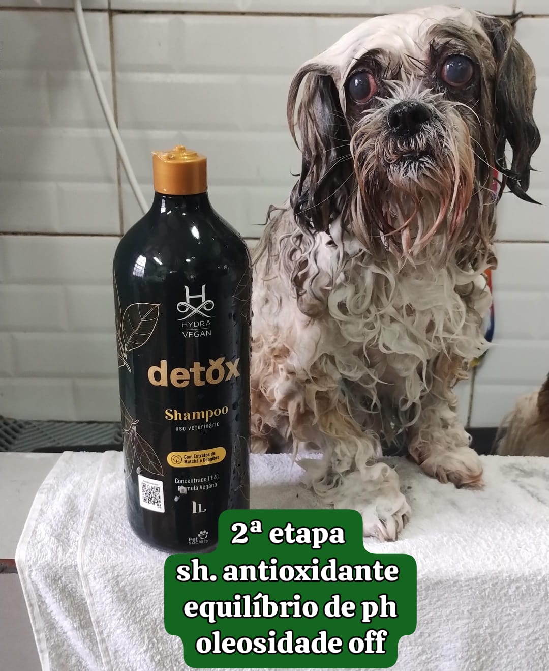 segunda-feira, 25/08/2025 14:39