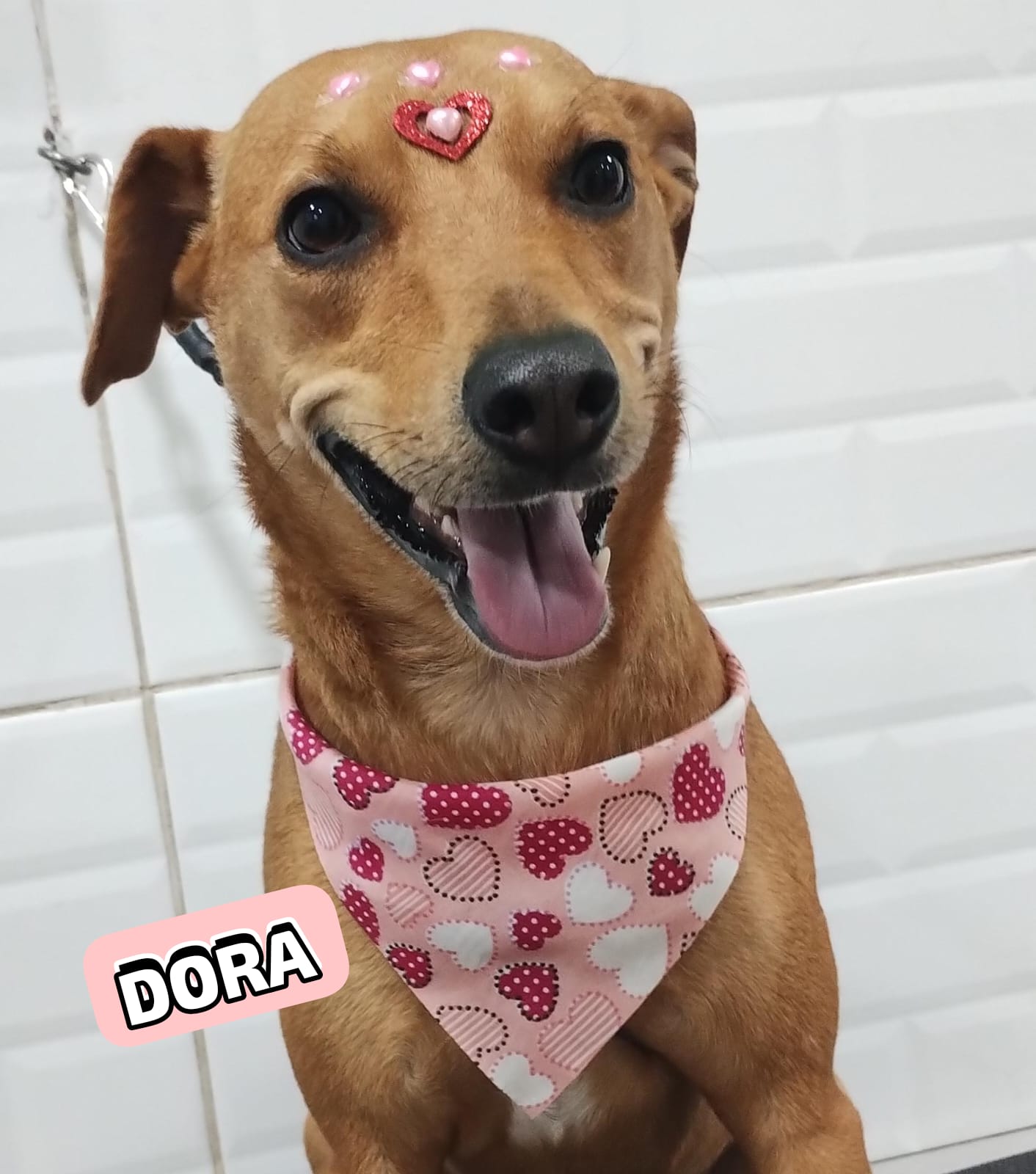 quarta-feira, 27/08/2025 17:40