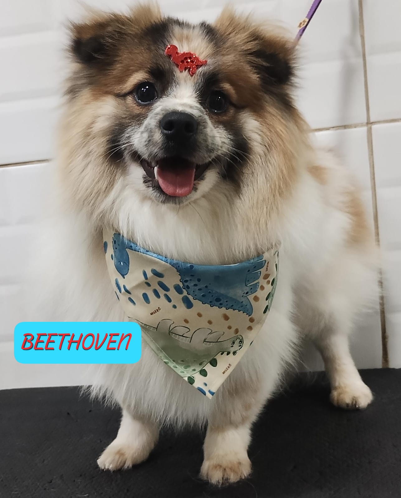 Beethoven