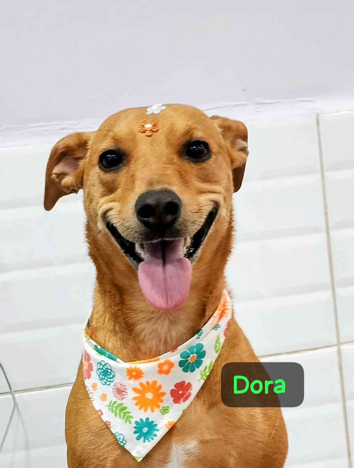 Dora