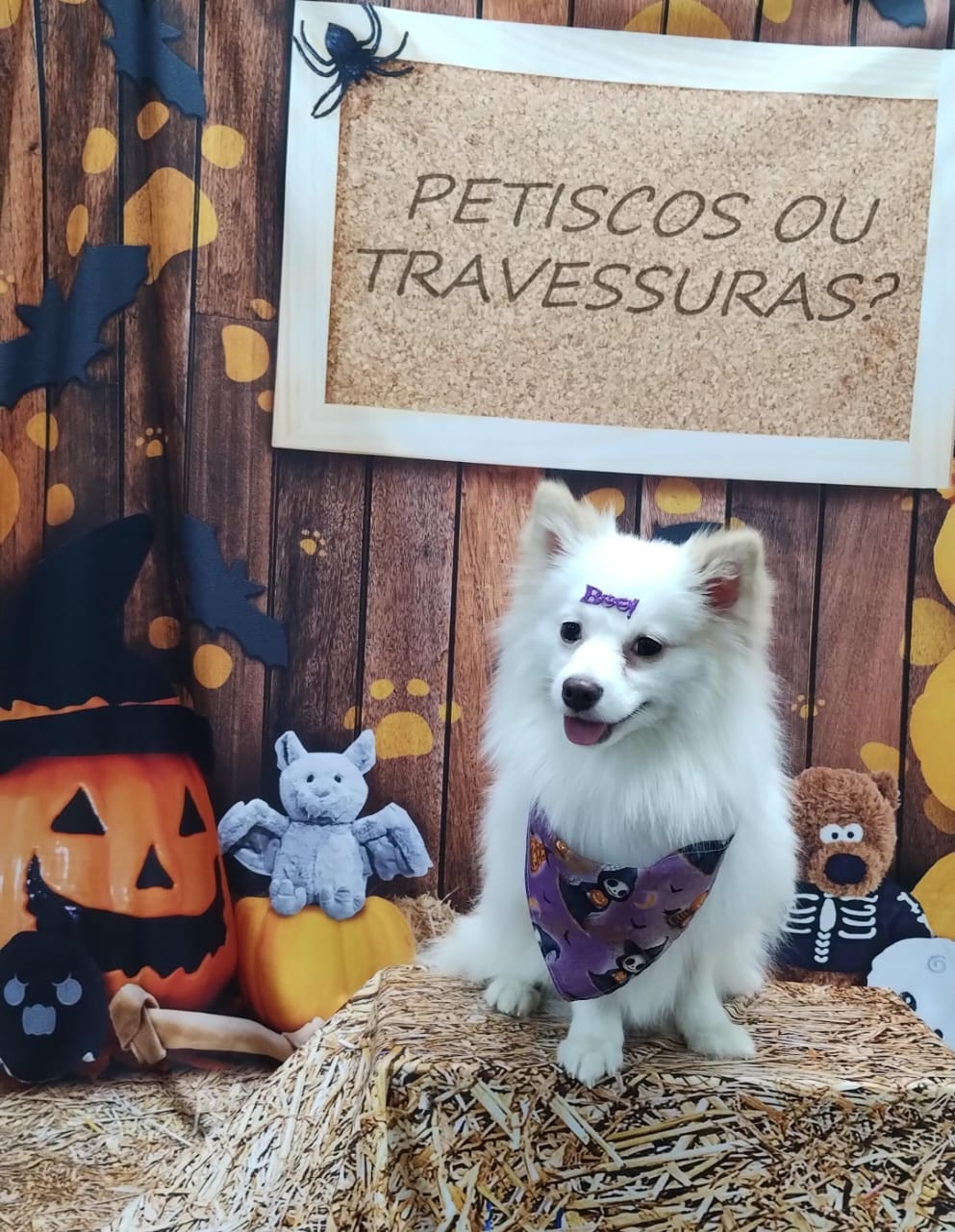 quinta-feira, 23/10/2025 19:02