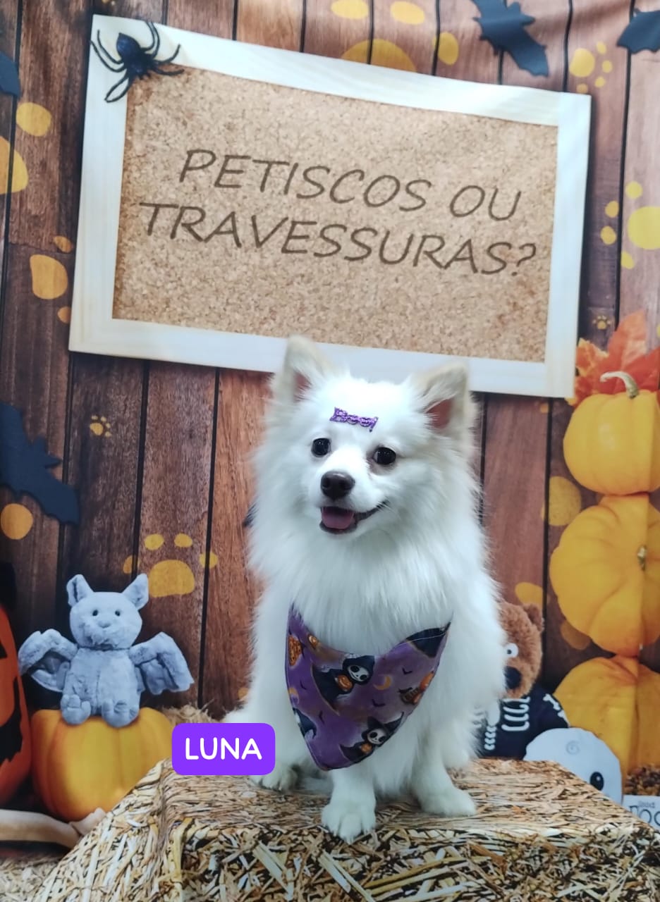 quinta-feira, 23/10/2025 19:26