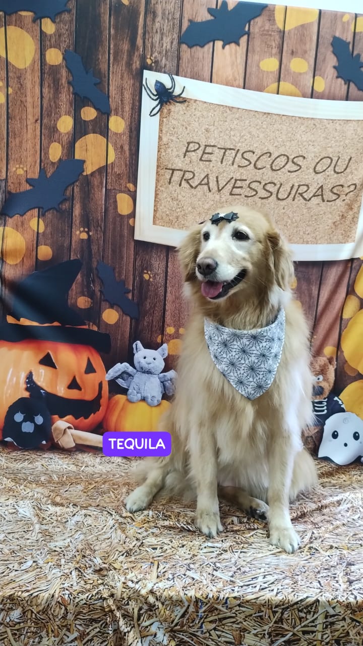 sexta-feira, 24/10/2025 16:04