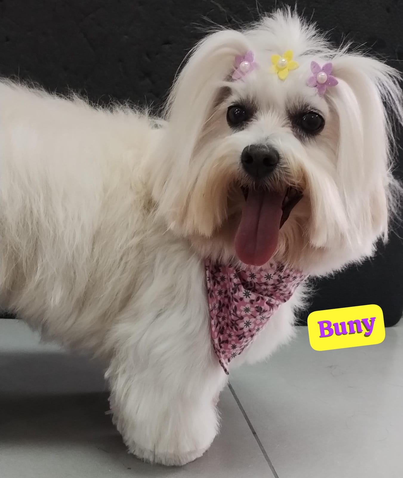 sexta-feira, 14/11/2025 16:38