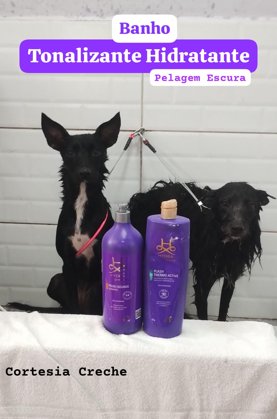 sexta-feira, 14/11/2025 16:38