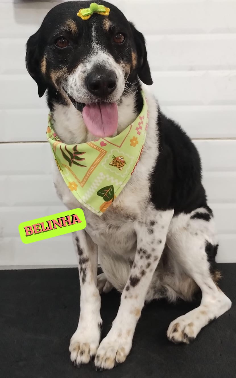 sexta-feira, 14/11/2025 16:38