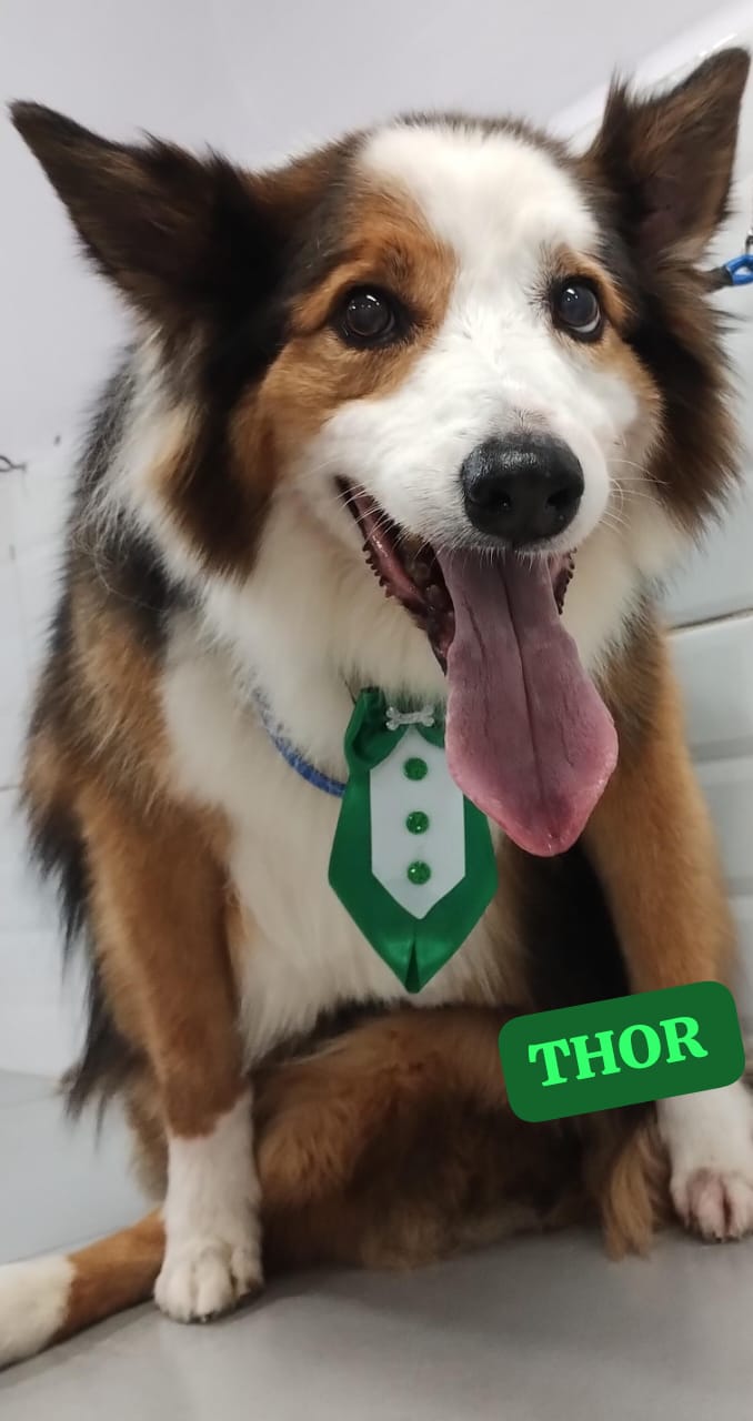 segunda-feira, 17/11/2025 12:15