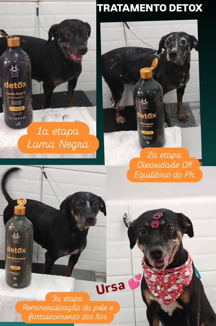 segunda-feira, 17/11/2025 12:15