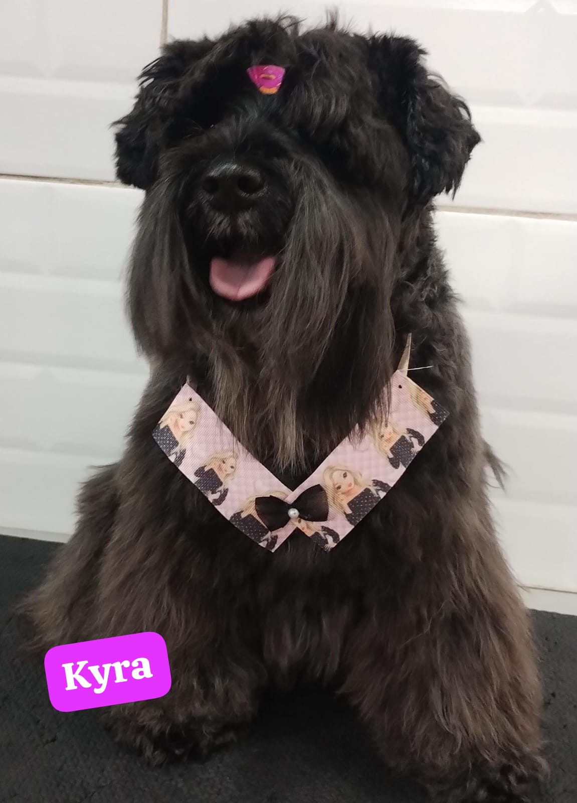 segunda-feira, 17/11/2025 12:16