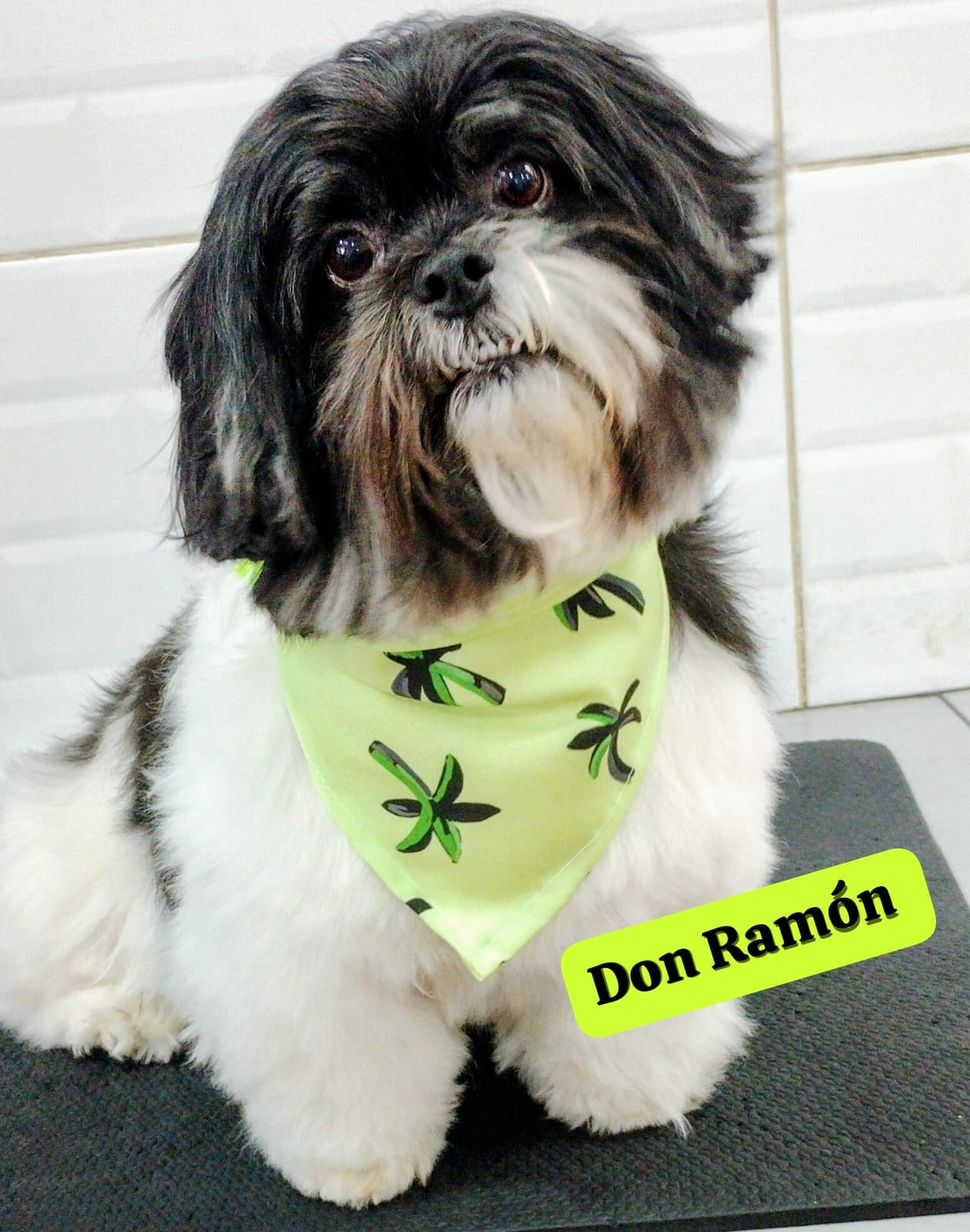 segunda-feira, 17/11/2025 13:07