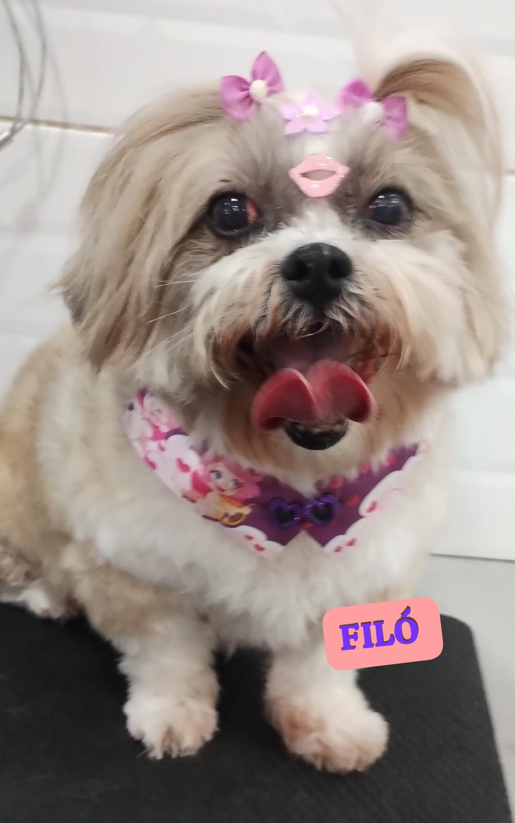 segunda-feira, 17/11/2025 17:09