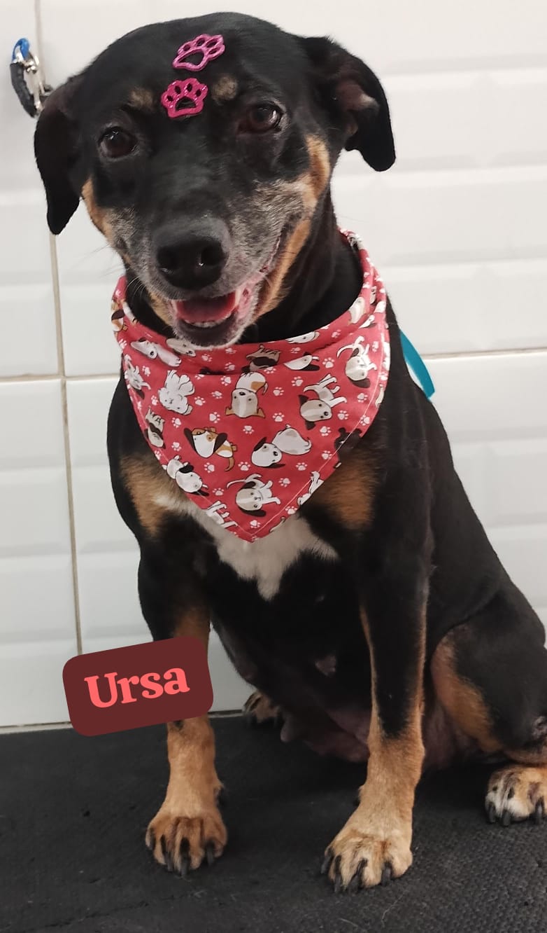 segunda-feira, 17/11/2025 17:37