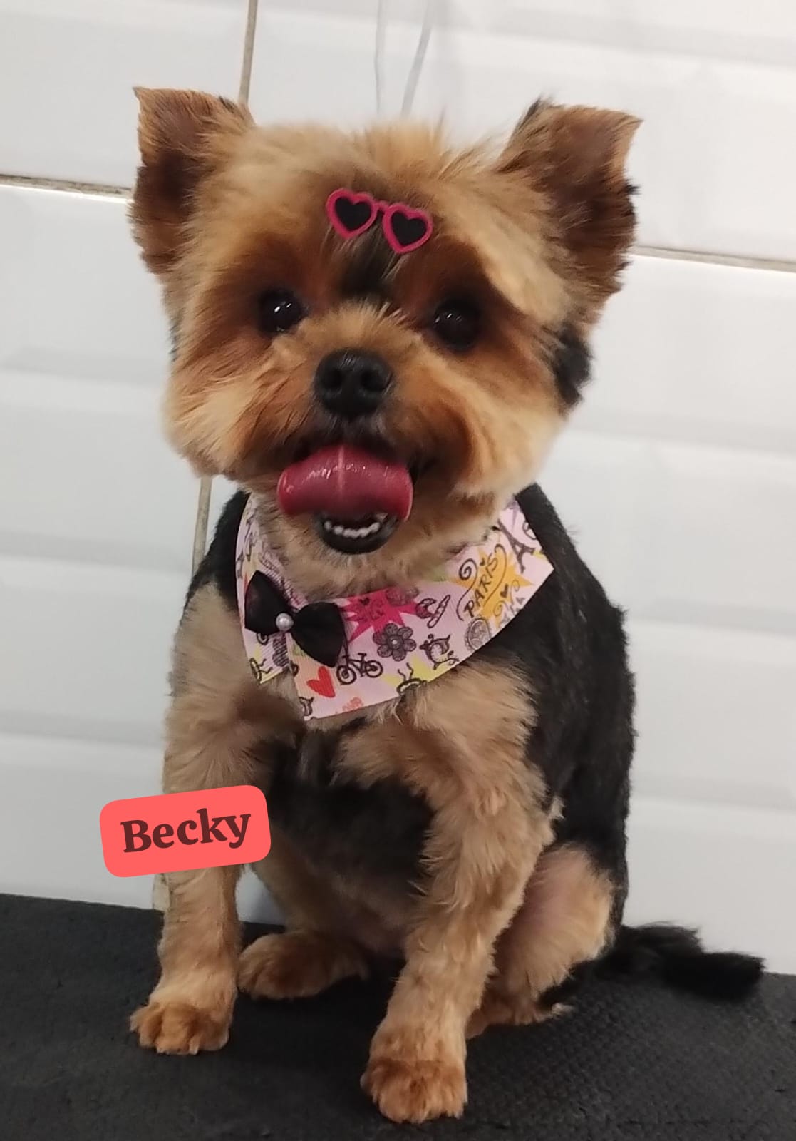 terça-feira, 18/11/2025 10:54