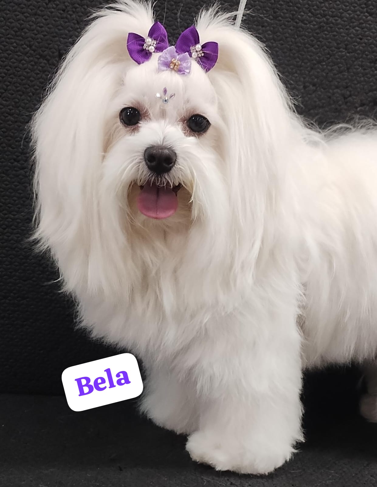 terça-feira, 18/11/2025 11:06