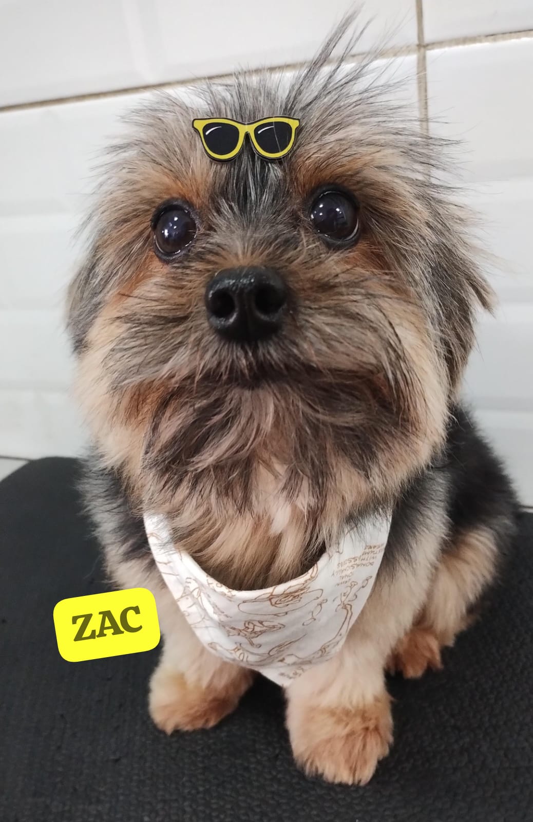 terça-feira, 18/11/2025 13:58