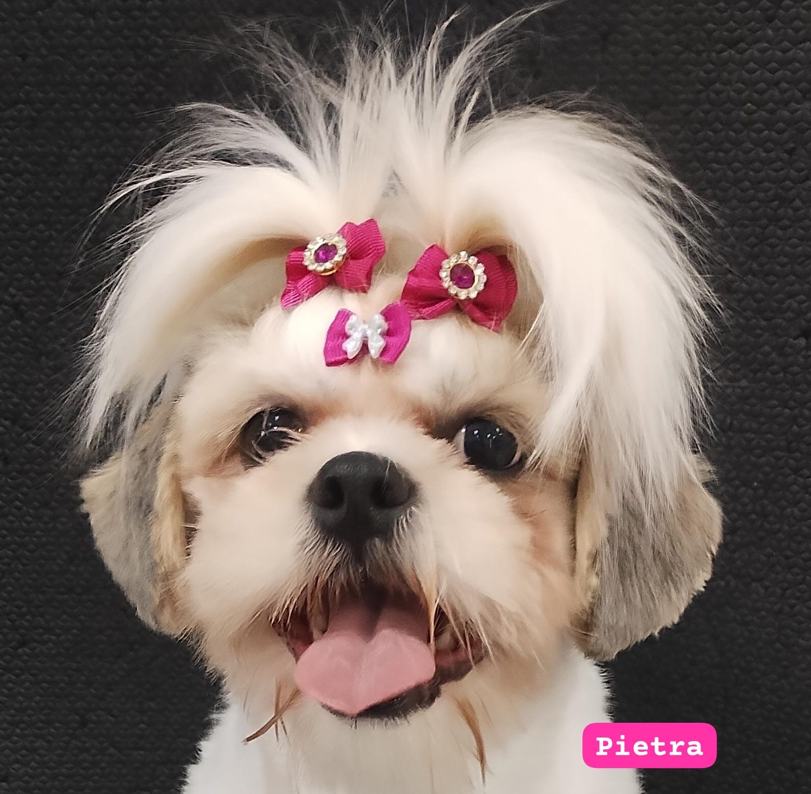 terça-feira, 18/11/2025 14:14