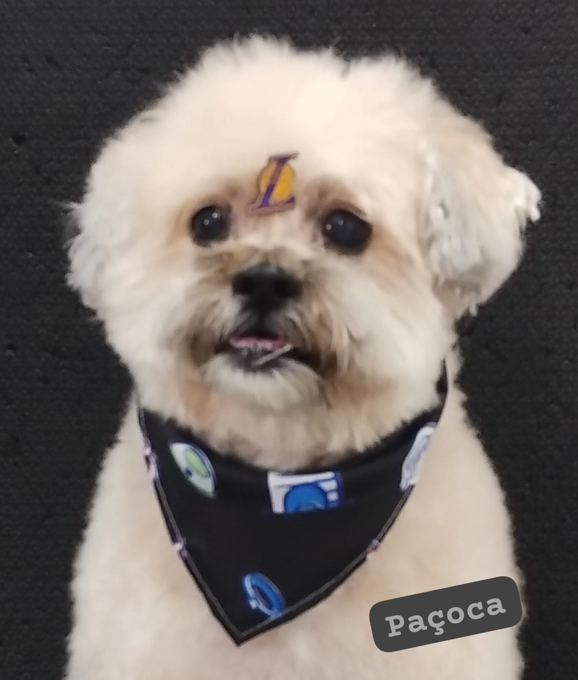 terça-feira, 18/11/2025 14:15