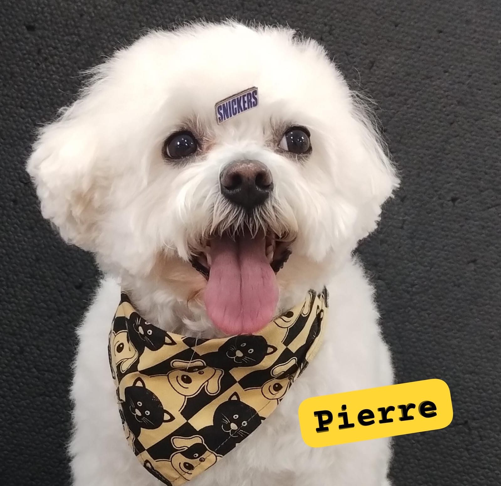 terça-feira, 18/11/2025 14:32