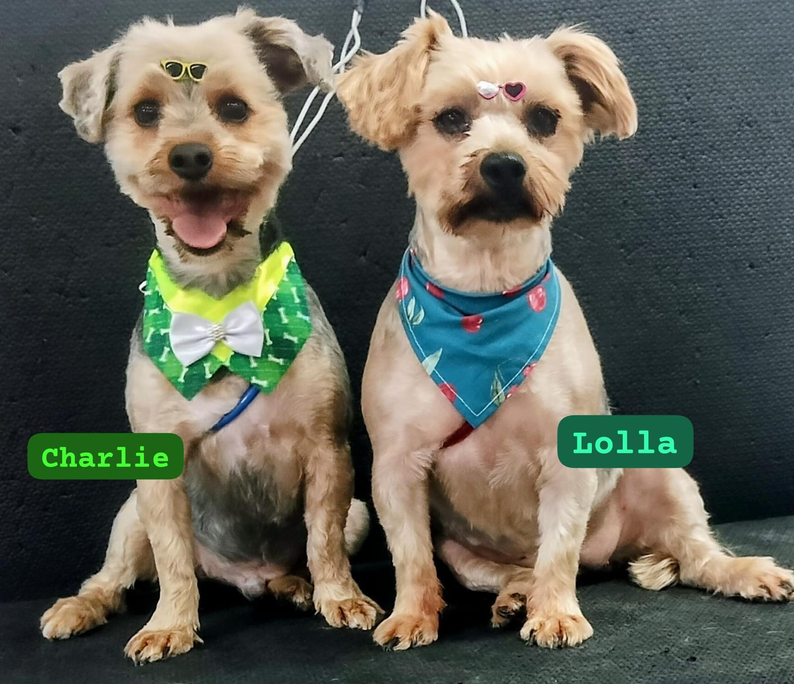 terça-feira, 18/11/2025 17:31